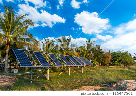 photovoltaic solar power panel for agriculture in a rural houses area Agricultural fields blue sky background,Agro-industry of household Rural style in Thailand, smart farm alternative clean energy. 115447501