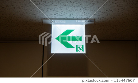 Emergency Light Information 115447607