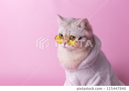 funny white cat in yellow glasses is sitting in a white bathrobe, on a pink background 115447840