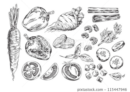 Vegetables and herbs sketch vector set Vegetables and herbs sketch vector set 115447946