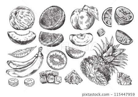 A set of sketches of fresh fruits on a white background. A set of sketches of fresh fruits on a white background. 115447959