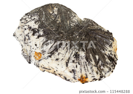 Macro stone Aegirine in charoite on white background Macro stone Aegirine in charoite on white background 115448288