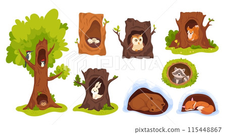 Animals inside hollows. Forest animal in hollow hole tree wood natural house or home burrow, cute woodpecker adorable fox squirrel bird nest 115448867