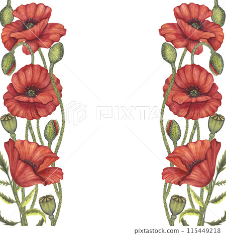 Red poppy flowers border frame. Memorial Day, Anzac in Australia. Meadow wild blossom, field blooming. Hand drawn watercolor illustration isolated background. Template for invitations wedding festival 115449218