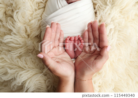 Feet of the newborn on the palms of the parents. The palms of the father and mother are holding the foot of the newborn baby in a white flokati blanket. Photography of a child's toes, heels and feet.  115449340