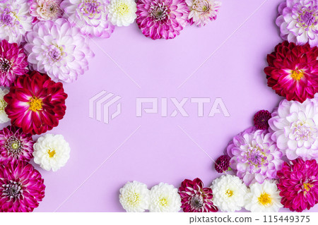 Summer flower frame made of multicolored dahlias in purple white and red shades. Flat lay, copy space. Summer concept Summer flower frame made of multicolored dahlias in purple white and red shades. Flat lay, copy space. Summer concept 115449375