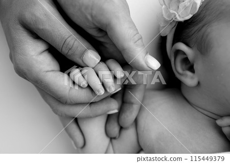 Small hand of a newborn baby with tiny fingers, head, nose and ear of a newborn. Palm hand of parents, father and mother of a newborn. Studio macro black and white photography. Small hand of a newborn baby with tiny fingers, head, nose and ear of a newborn. Palm hand of parents, father and mother of a newborn. Studio macro black and white photography. 115449379