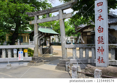 Torii gate at Yotsugi Shirahige Shrine, Yotsugi, Katsushika Ward, Tokyo 115449574