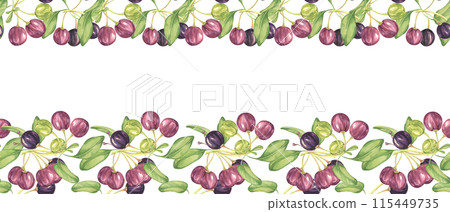 Seamless border of maqui berry and leaves in purple and green. Hand drawn watercolor illustration of Chilean wineberry cherry plant, Aristotelia chilensis for printing, food supplement, apparel, cards 115449735