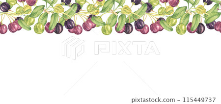 Seamless border of maqui berry and leaves in purple and green. Hand drawn watercolor illustration of Chilean wineberry cherry plant, Aristotelia chilensis for printing, food supplement, apparel, cards Seamless border of maqui berry and leaves in purple and green. Hand drawn watercolor illustration of Chilean wineberry cherry plant, Aristotelia chilensis for printing, food supplement, apparel, cards 115449737