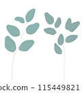 eucalyptus leaves 115449821