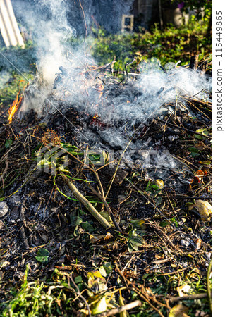 Homo coming out of the bonfire Homo coming out of the bonfire 115449865