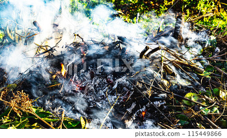 Homo coming out of the bonfire Homo coming out of the bonfire 115449866
