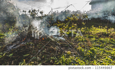 Homo coming out of the bonfire Homo coming out of the bonfire 115449867