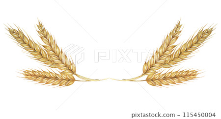 Wheat ears, stalks of barley golden cereal grain spikes. Watercolor illustration for bread, beer, whisky, malt, flour packaging, tags and labels. Symbol of Shavuot, Thanksgiving, Oktoberfest clipart 115450004