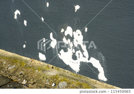 Delamination of fragments of the facade paint layer from the wall due to poor preparation of the base Delamination of fragments of the facade paint layer from the wall due to poor preparation of the base 115450065