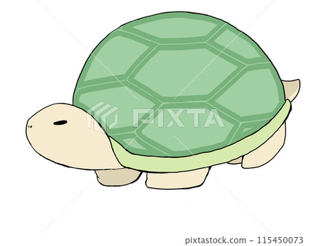一隻烏龜 115450073