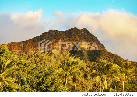 A mountain surrounded by trees, including palm trees A mountain surrounded by trees, including palm trees 115450332