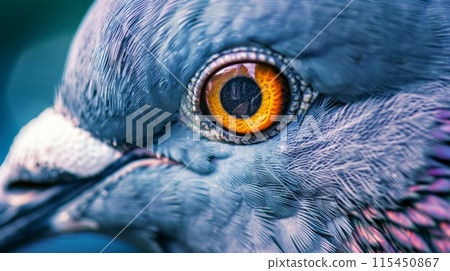 A close up of a bird's eye with bright orange iris, AI 115450867