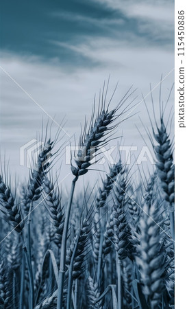 A field of wheat with a cloudy sky in the background, AI 115450886
