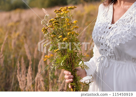Woman Holding Wildflowers in Field, Herbalism Concept. Woman Holding Wildflowers in Field, Herbalism Concept. 115450919