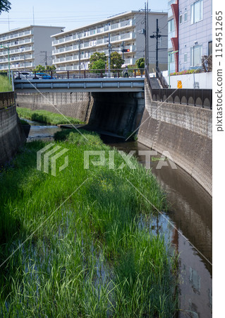 Sengawa River 115451265