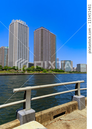 東京都中央區佃田晴海運河沿岸的塔樓公寓 東京都中央區佃田晴海運河沿岸的塔樓公寓 115451481