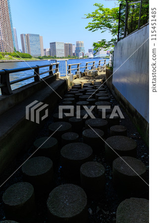 Nakanoshima Park, floating on the Harumi Canal in Koto Ward, Tokyo 115451485
