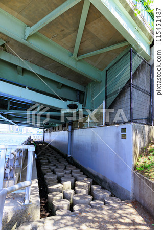 Nakanoshima Park, floating on the Harumi Canal in Koto Ward, Tokyo 115451487