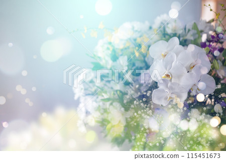 一個水療中心 一個水療中心 115451673