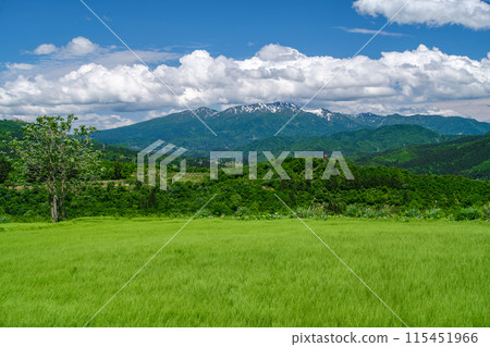 Mount Sumon and the grassland Mount Sumon and the grassland 115451966