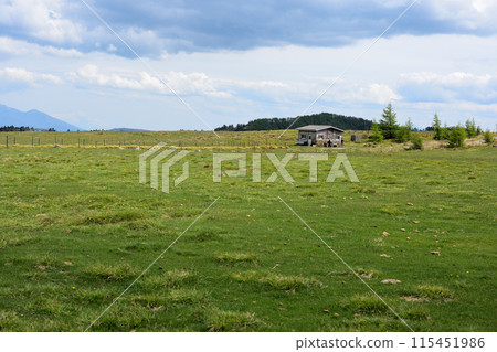 A plateau with grass rolls A plateau with grass rolls 115451986