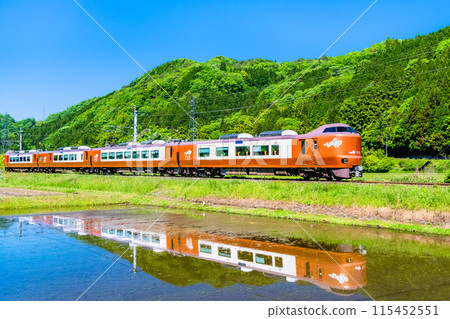Hakubi Line Limited Express Yakumo 273 series train running through fresh green rice fields (Neu-Kurosaka) 115452551