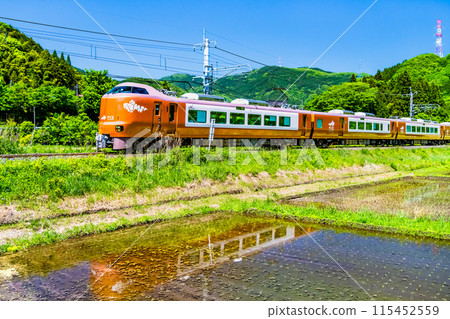Hakubi Line Limited Express Yakumo 273 series train running through fresh green rice fields (Neu-Kurosaka) 115452559