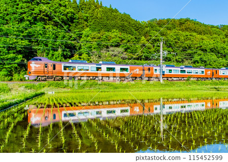 Hakubi Line Limited Express Yakumo 273 series train running through fresh green rice fields (Eo-Hoki Mizoguchi) 115452599