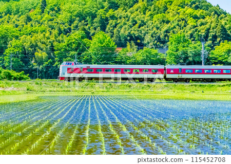 Hakubi Line Limited Express Yakumo: A leisurely Yakumo-colored 381 series train running through freshly green rice fields (Neu-Kurosaka) 115452708