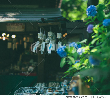 Hydrangea and wind chimes 115452886