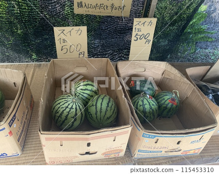 watermelon   115453310