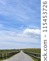 一條在藍天下的草原上筆直延伸的路 115453726