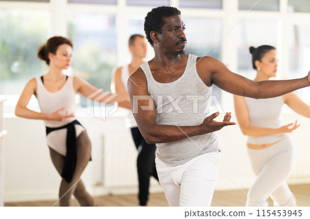 Group of dancers rehearsing ballet dance 115453945