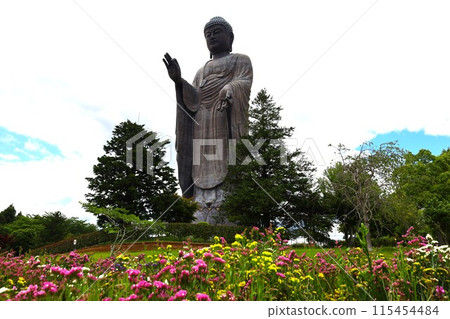 Ushiku Buddha seen from a flower field Ushiku Buddha seen from a flower field 115454484