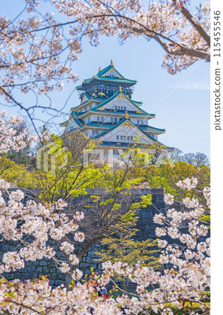 [Osaka Castle Park in Spring] Osaka Castle Tower and Cherry Blossoms 115455546