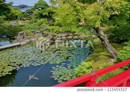 Japanese garden with red bridge Japanese garden with red bridge 115455557