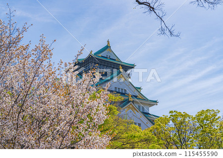 [櫻花]春天的大阪城公園[大阪城天守閣] 115455590