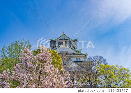 [Cherry Blossoms] Osaka Castle Park in Spring [Osaka Castle Tower] 115455757