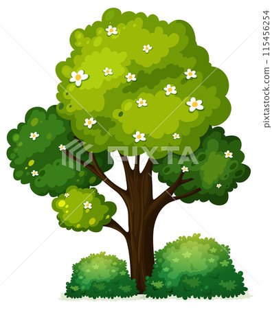 Blooming Tree with Green Foliage 115456254