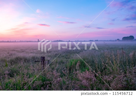 The serene foggy field at sunrise captures the tranquility and beauty of nature The serene foggy field at sunrise captures the tranquility and beauty of nature 115456712