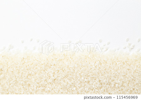 白色背景上的白飯 115456969