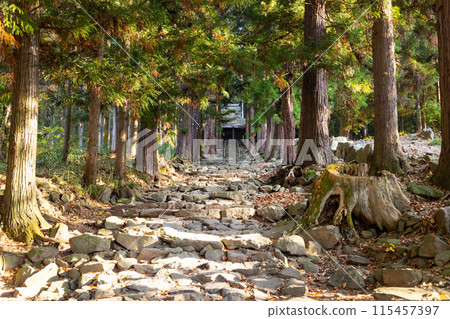 Stone steps leading to the Kanda Yakushido temple in Obuse, Nagano Prefecture Stone steps leading to the Kanda Yakushido temple in Obuse, Nagano Prefecture 115457397