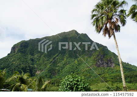Moorea landscape Moorea landscape 115457592